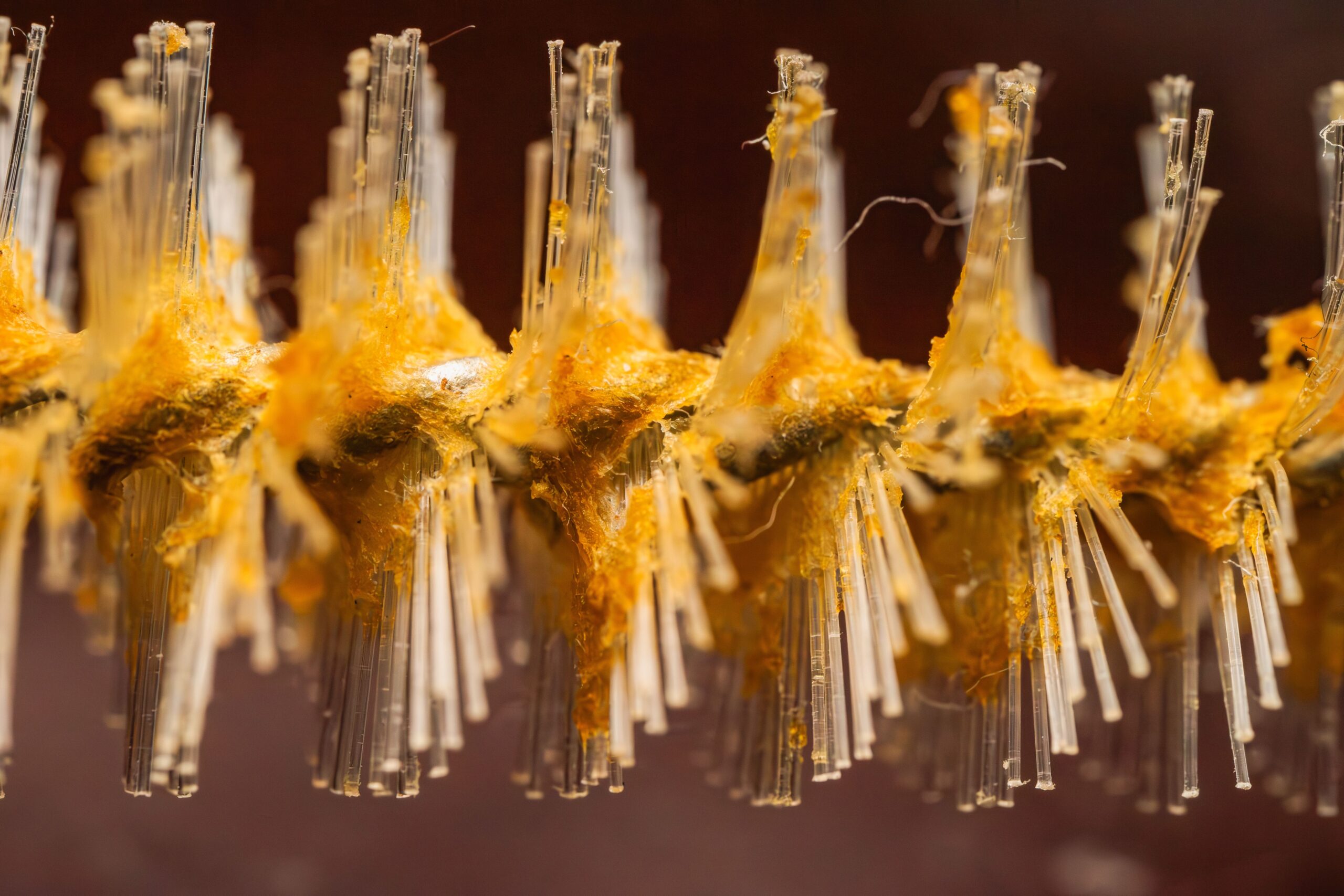 Microbial